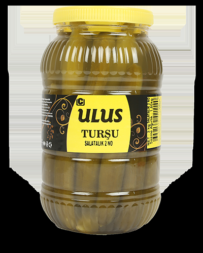 TURSAL SALATA TURŞUSU 3KG