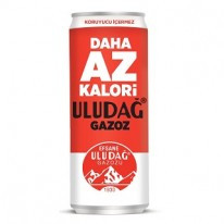 ULUDAĞ EFS.GAZOZ 330ML TNK.