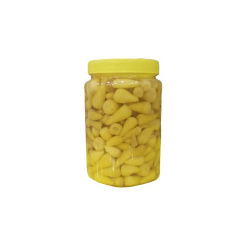 TURSAL ANTALYA TURŞU 1KG