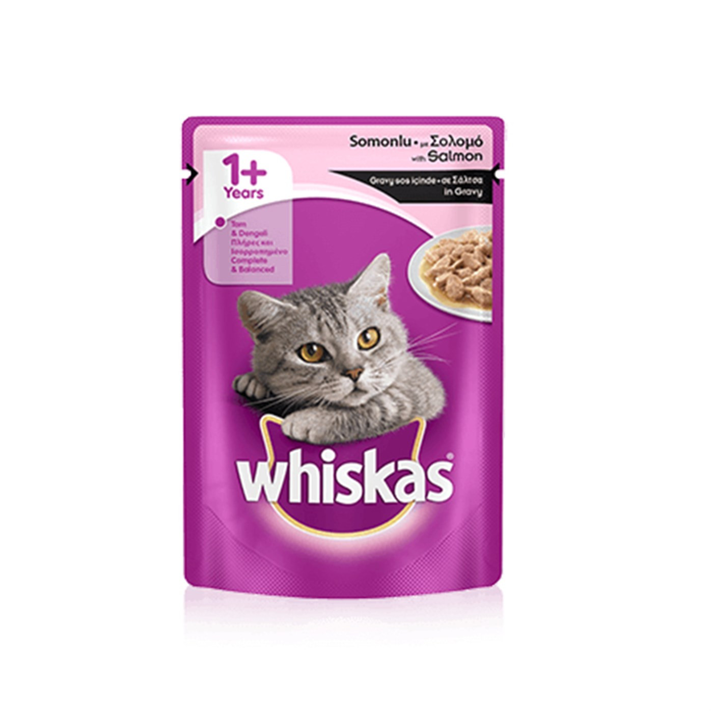 WHİSKAS POUCH SOMON 100GR