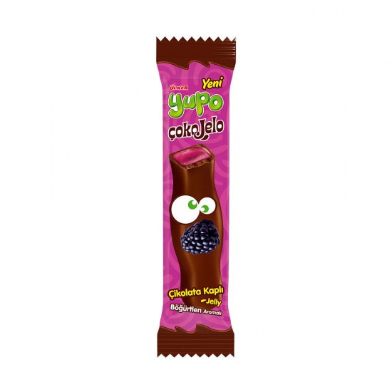YUPO ÇOKOJEL BÖĞÜRTLENLİ 20GR